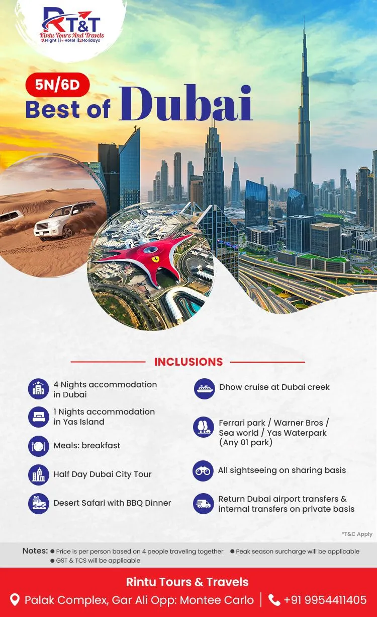 WhatsApp Image 2024-11-20 at 10.57.50 AM.webp